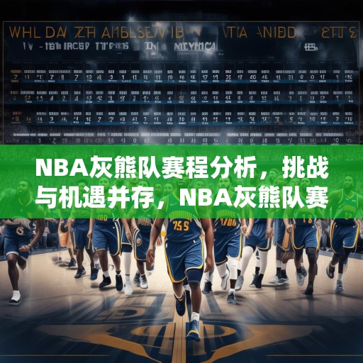 NBA灰熊队赛程分析，挑战与机遇并存，NBA灰熊队赛程前瞻，挑战与机遇并存，谁能笑到最后？