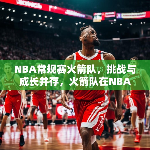 NBA常规赛火箭队，挑战与成长并存，火箭队在NBA常规赛中的挑战与成长