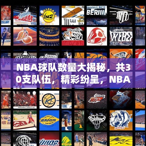 NBA球队数量大揭秘，共30支队伍，精彩纷呈，NBA球队全览，30支球队逐个数，每队都有独特魅力！
