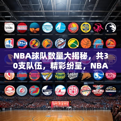NBA球队数量大揭秘，共30支队伍，精彩纷呈，NBA球队全览，30支球队逐个数，每队都有独特魅力！